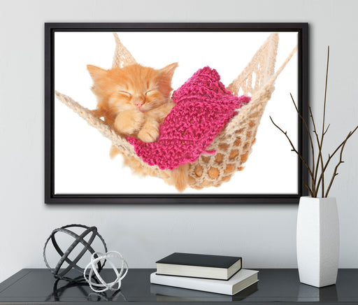 Katzenbaby in Hängematte auf Leinwandbild gerahmt mit Kirschblüten