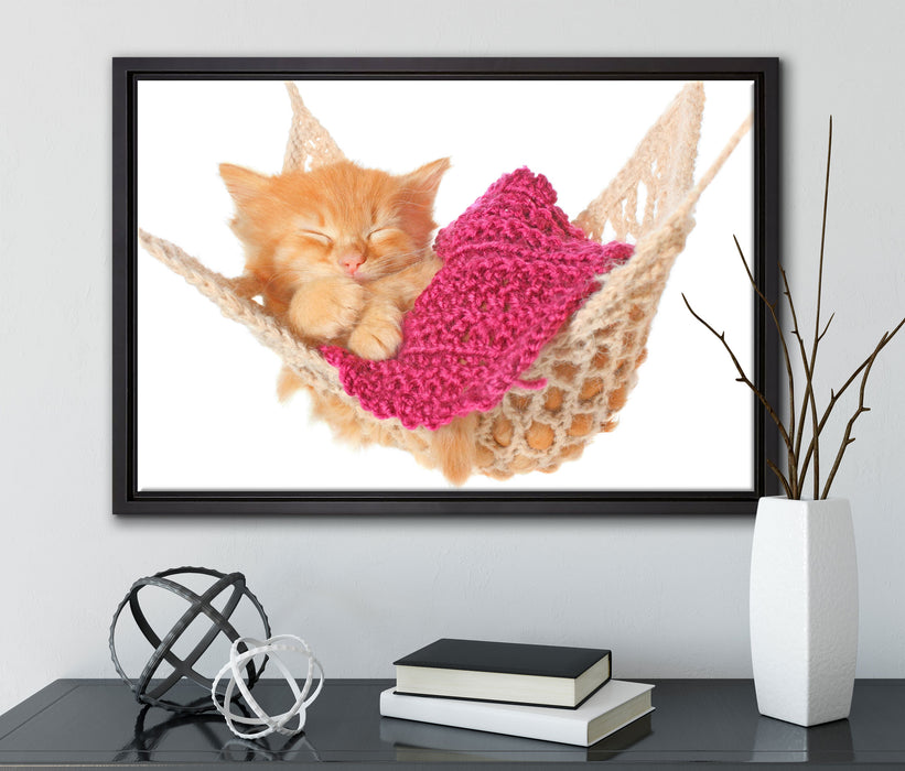 Katzenbaby in Hängematte auf Leinwandbild gerahmt mit Kirschblüten