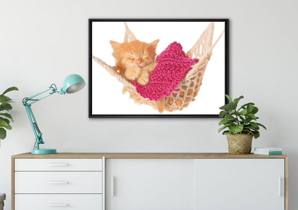 Katzenbaby in Hängematte auf Leinwandbild gerahmt verschiedene Größen im Wohnzimmer