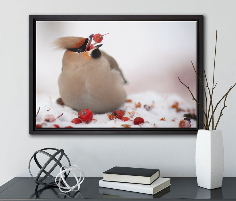 Kleiner Vogel im Schnee auf Leinwandbild gerahmt mit Kirschblüten