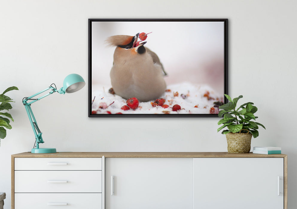 Kleiner Vogel im Schnee auf Leinwandbild gerahmt verschiedene Größen im Wohnzimmer
