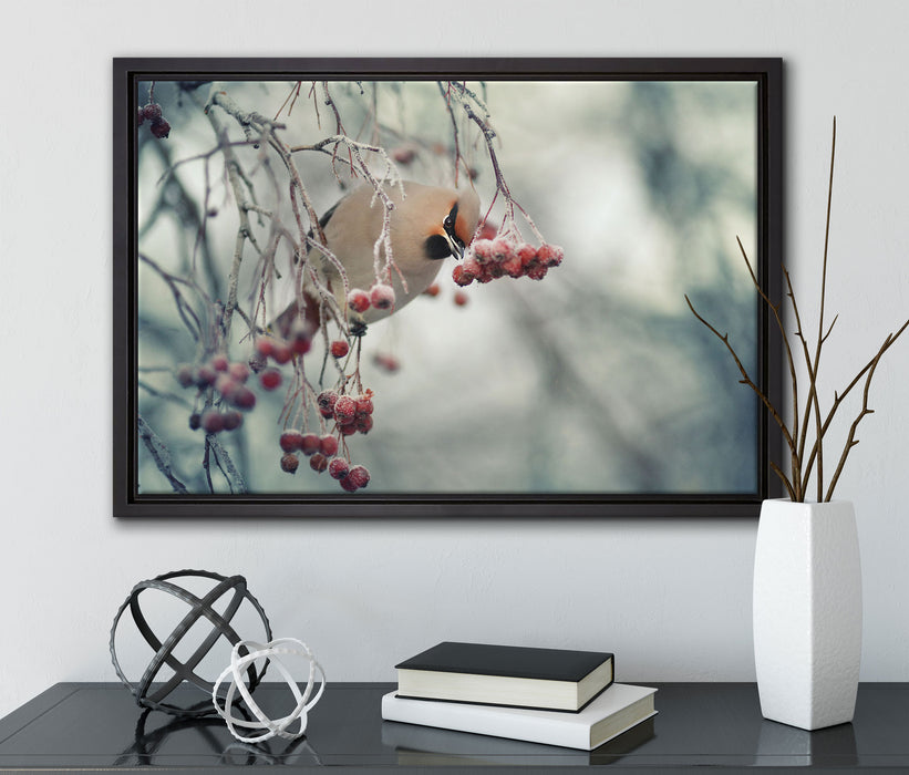 Kleiner Vogel im Vogelbeerbaum auf Leinwandbild gerahmt mit Kirschblüten
