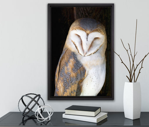 Schleiereule auf Leinwandbild gerahmt mit Kirschblüten