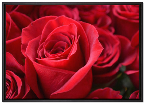 Romantische Rosen auf Leinwandbild gerahmt Größe 100x70