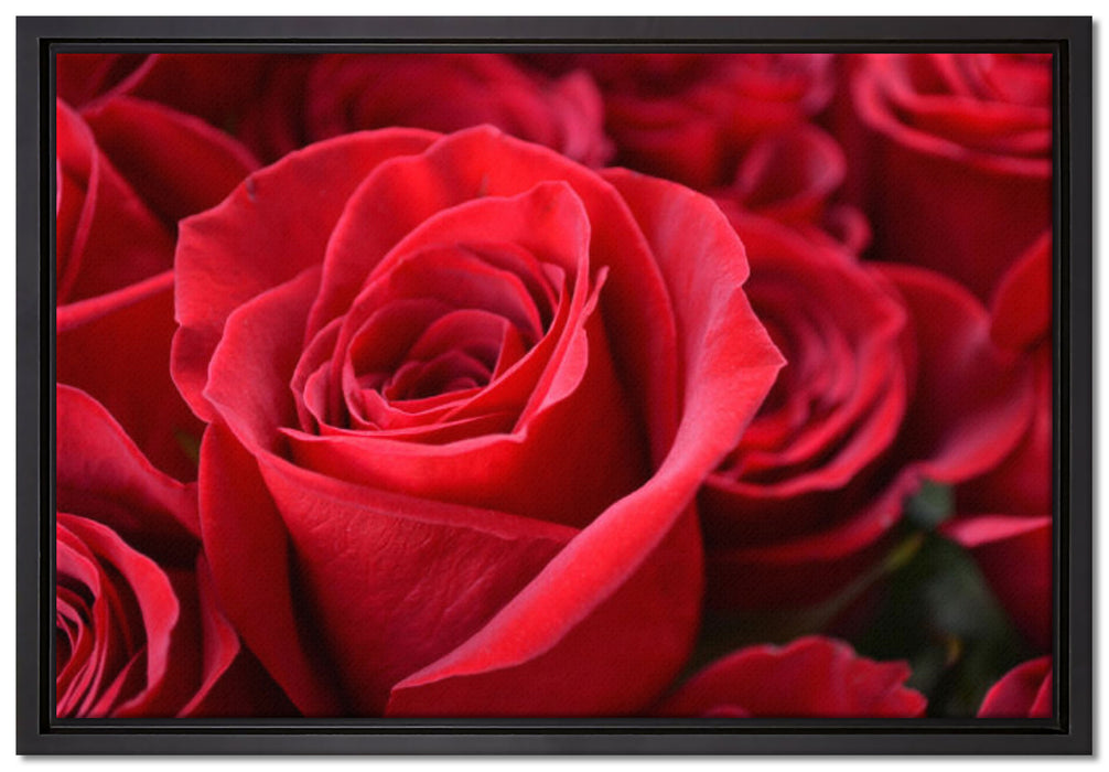 Romantische Rosen auf Leinwandbild gerahmt Größe 60x40