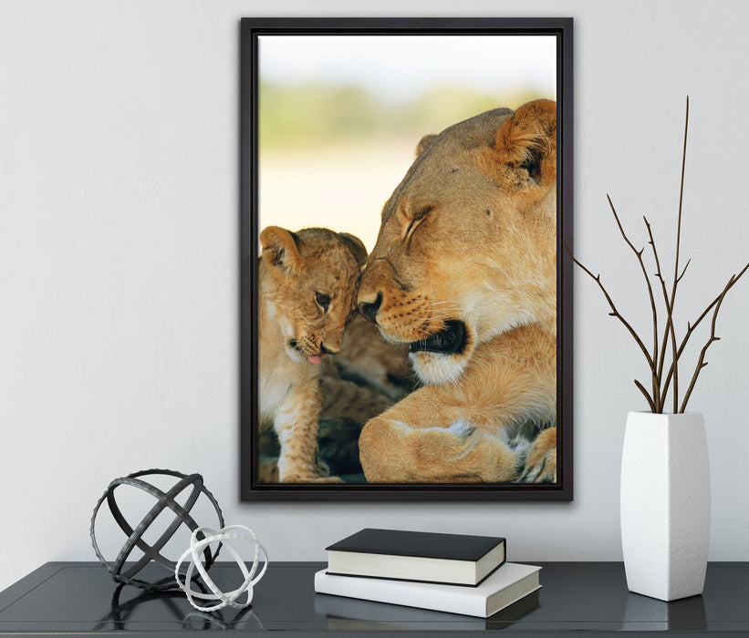 Löwenmutter schmusend mit Junges auf Leinwandbild gerahmt mit Kirschblüten
