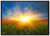 Mohnwiese in der Sonne auf Leinwandbild gerahmt Größe 100x70