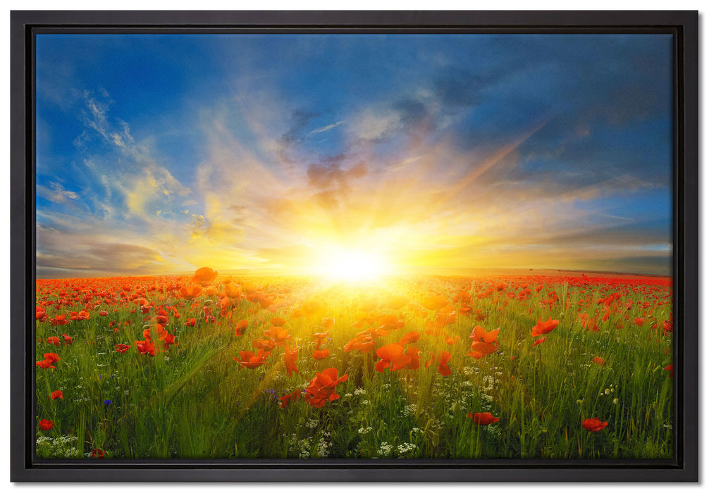 Mohnwiese in der Sonne auf Leinwandbild gerahmt Größe 60x40