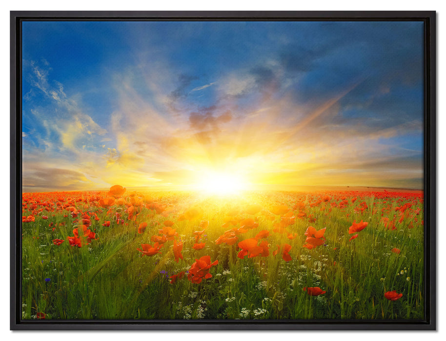 Mohnwiese in der Sonne auf Leinwandbild gerahmt Größe 80x60