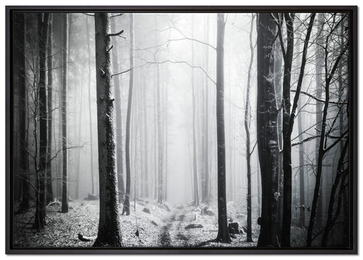 Mystischer Wald auf Leinwandbild gerahmt Größe 100x70