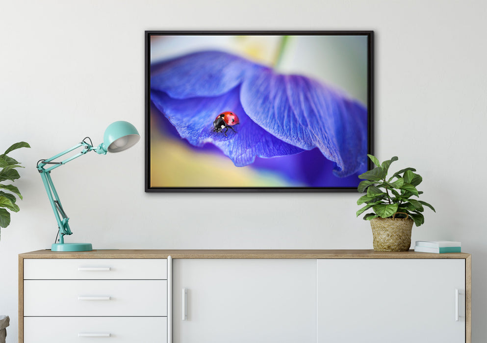 Marienkäfer auf lila Blüte auf Leinwandbild gerahmt verschiedene Größen im Wohnzimmer