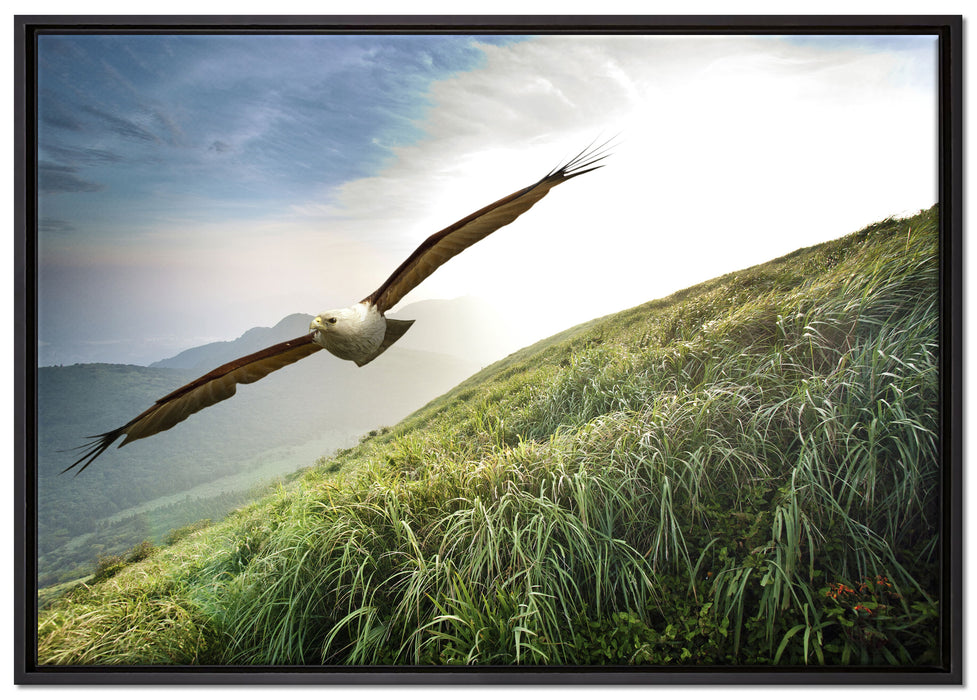 Majestätischer Weißkopfseeadler auf Leinwandbild gerahmt Größe 100x70