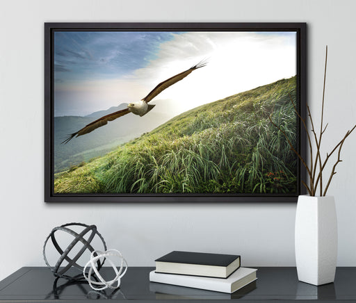 Majestätischer Weißkopfseeadler auf Leinwandbild gerahmt mit Kirschblüten