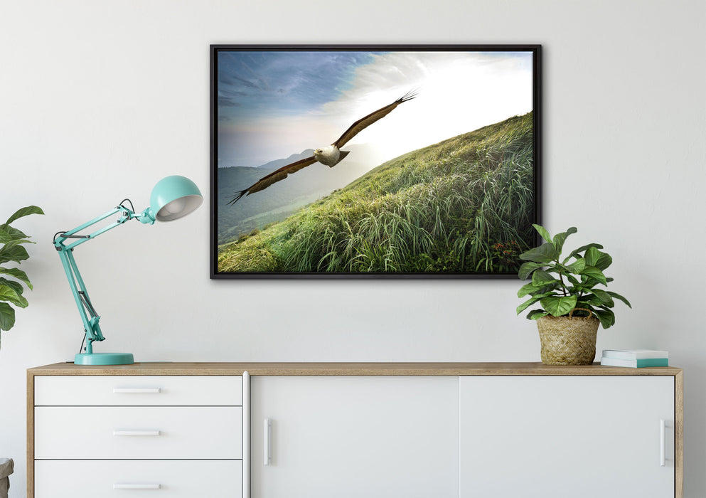 Majestätischer Weißkopfseeadler auf Leinwandbild gerahmt verschiedene Größen im Wohnzimmer