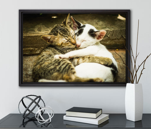 Liebende Kätzchen auf Leinwandbild gerahmt mit Kirschblüten