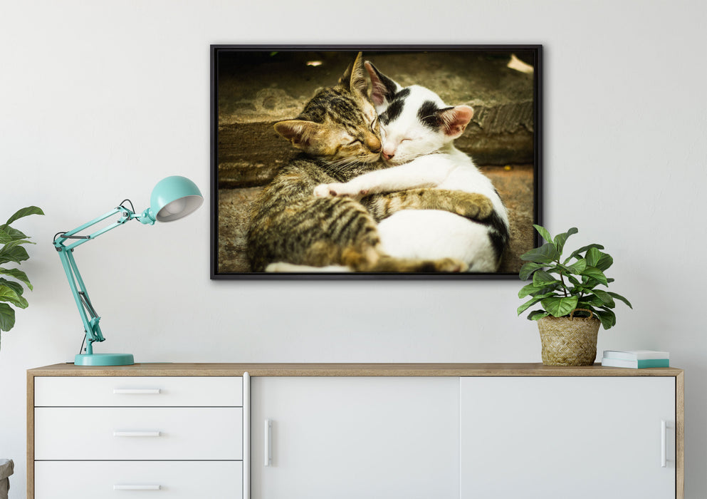Liebende Kätzchen auf Leinwandbild gerahmt verschiedene Größen im Wohnzimmer