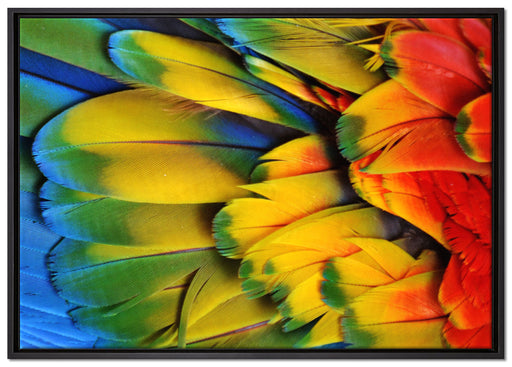Bunte Papageienfedern auf Leinwandbild gerahmt Größe 100x70