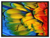 Bunte Papageienfedern auf Leinwandbild gerahmt Größe 80x60