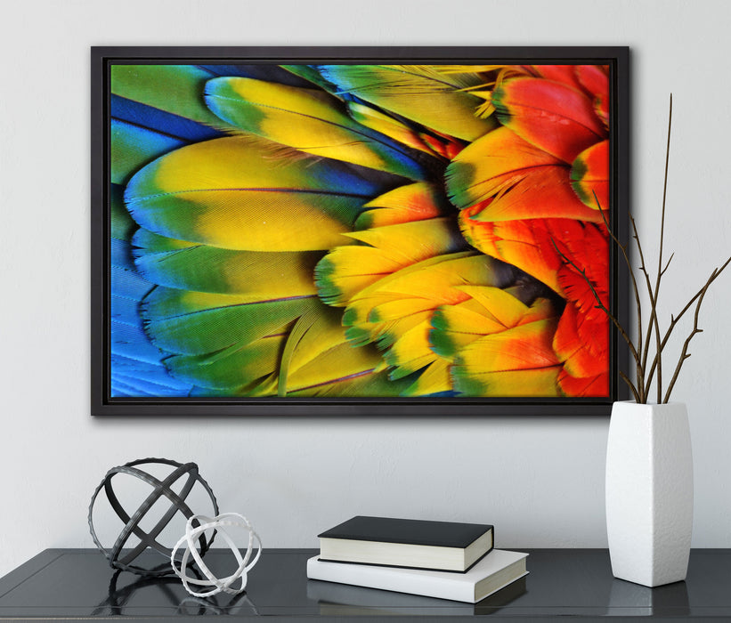 Bunte Papageienfedern auf Leinwandbild gerahmt mit Kirschblüten