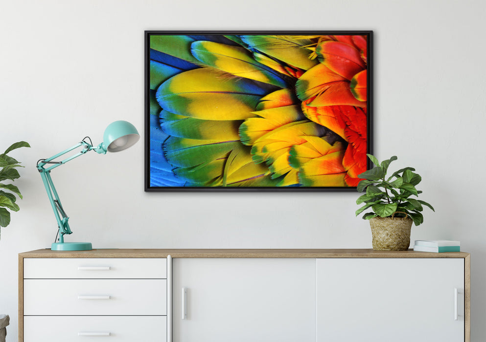Bunte Papageienfedern auf Leinwandbild gerahmt verschiedene Größen im Wohnzimmer
