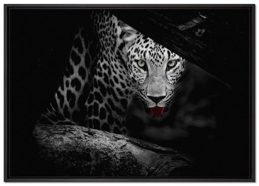 Neugieriger Gepard auf Leinwandbild gerahmt Größe 100x70