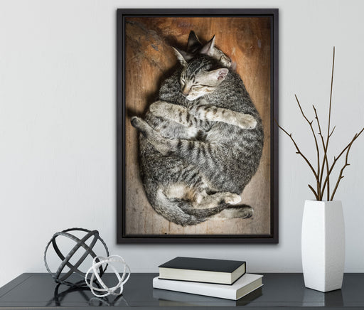 Kuschelnde Katzen auf Leinwandbild gerahmt mit Kirschblüten