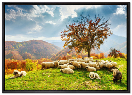 Romanian Carpathians Gebirge auf Leinwandbild gerahmt Größe 100x70