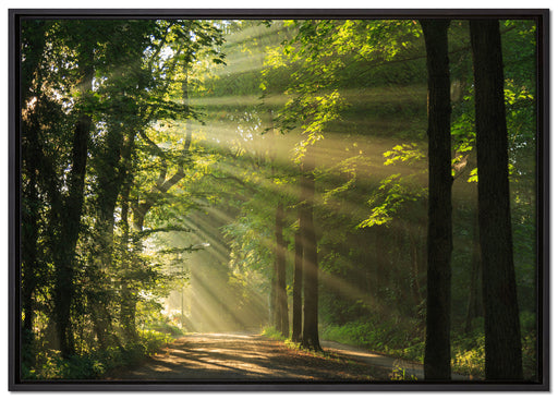Waldweg im Frühling auf Leinwandbild gerahmt Größe 100x70