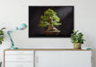 Kleiner Bonsaibaum auf Leinwandbild gerahmt verschiedene Größen im Wohnzimmer