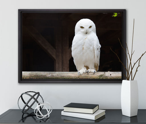 Weiße Schneeeule auf Leinwandbild gerahmt mit Kirschblüten