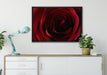 Rote Rose auf Leinwandbild gerahmt verschiedene Größen im Wohnzimmer