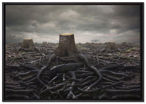 Gerodeter Wald auf Leinwandbild gerahmt Größe 100x70