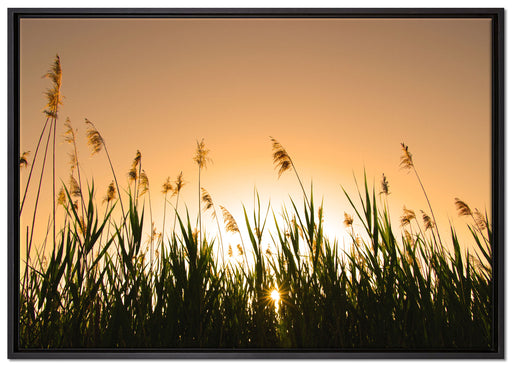 Schilfufer bei Dämmerung auf Leinwandbild gerahmt Größe 100x70
