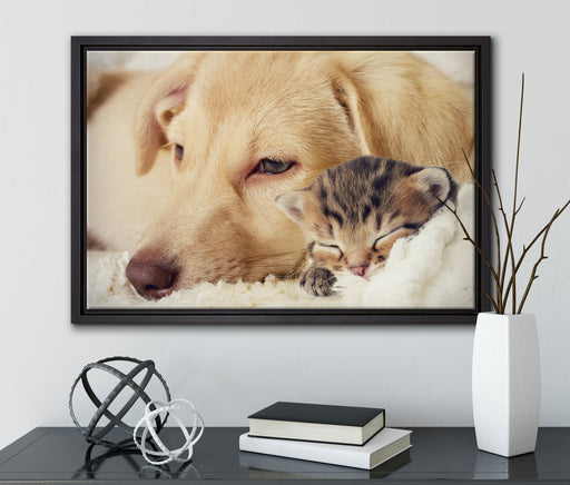 Träumendes Kätzchen neben Hund auf Leinwandbild gerahmt mit Kirschblüten