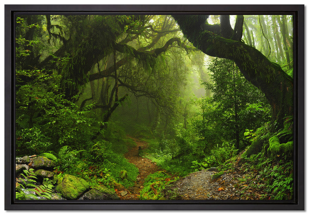 Mystischer Regenwald auf Leinwandbild gerahmt Größe 60x40