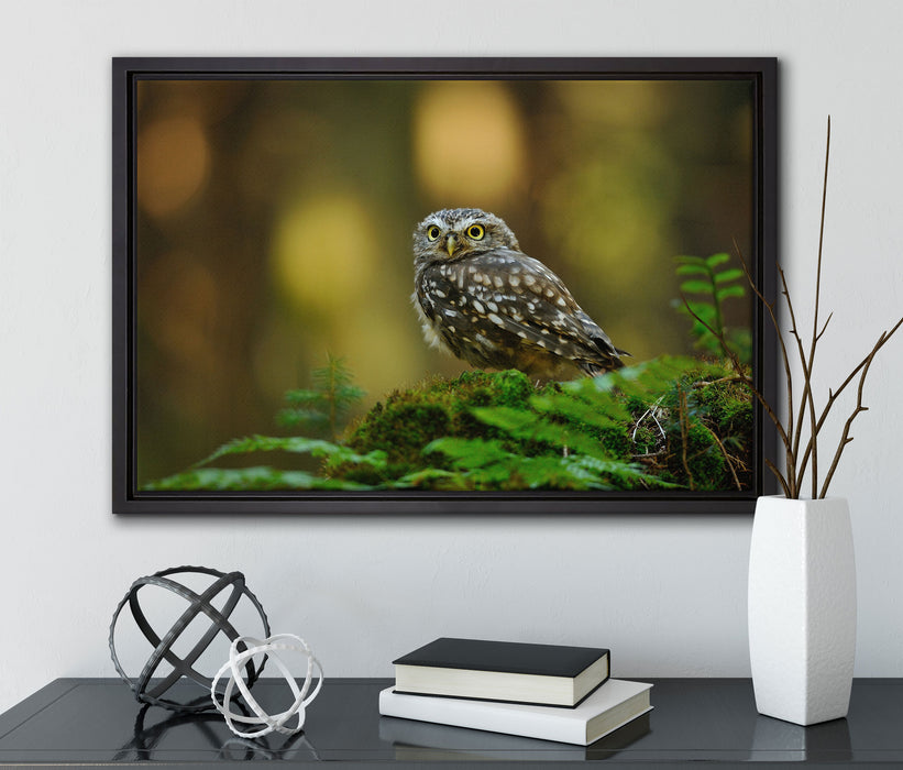 Niedliche Babyeule auf Leinwandbild gerahmt mit Kirschblüten