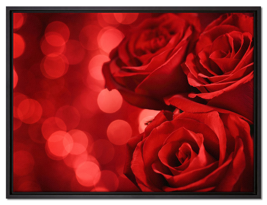 Drei rote Rosen auf Leinwandbild gerahmt Größe 80x60