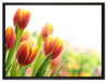 Bunte Tulpenwiese auf Leinwandbild gerahmt Größe 80x60