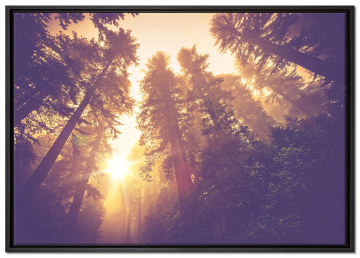 Blick in die Baumwipfel auf Leinwandbild gerahmt Größe 100x70