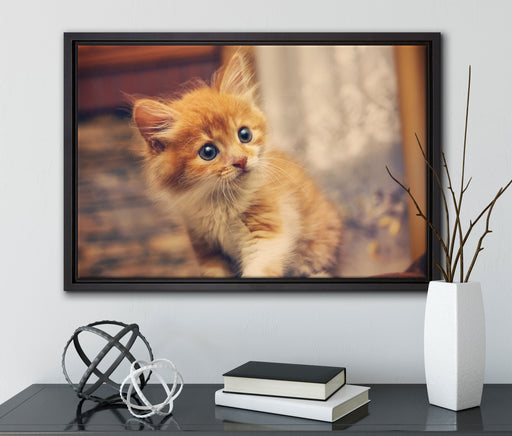 Neugieriges Kätzchen auf Leinwandbild gerahmt mit Kirschblüten