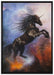 Traumhaftes schwarzes Einhorn auf Leinwandbild gerahmt Größe 100x70