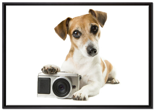 Niedlicher Hundewelpe mit Kamera auf Leinwandbild gerahmt Größe 100x70