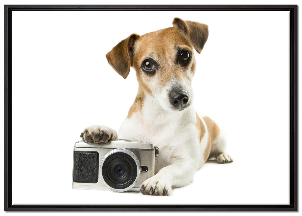 Niedlicher Hundewelpe mit Kamera auf Leinwandbild gerahmt Größe 100x70