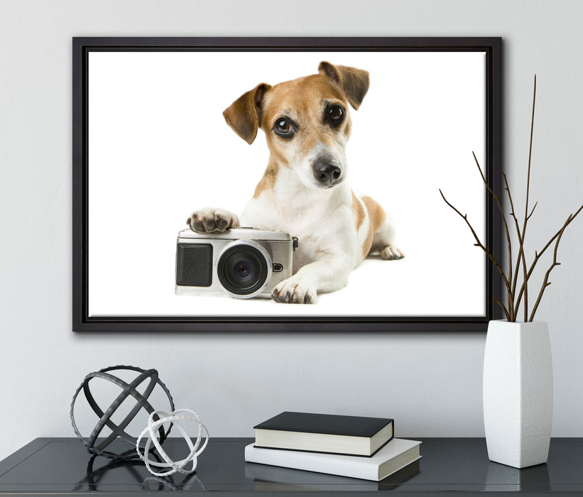 Niedlicher Hundewelpe mit Kamera auf Leinwandbild gerahmt mit Kirschblüten