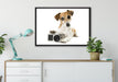 Niedlicher Hundewelpe mit Kamera auf Leinwandbild gerahmt verschiedene Größen im Wohnzimmer