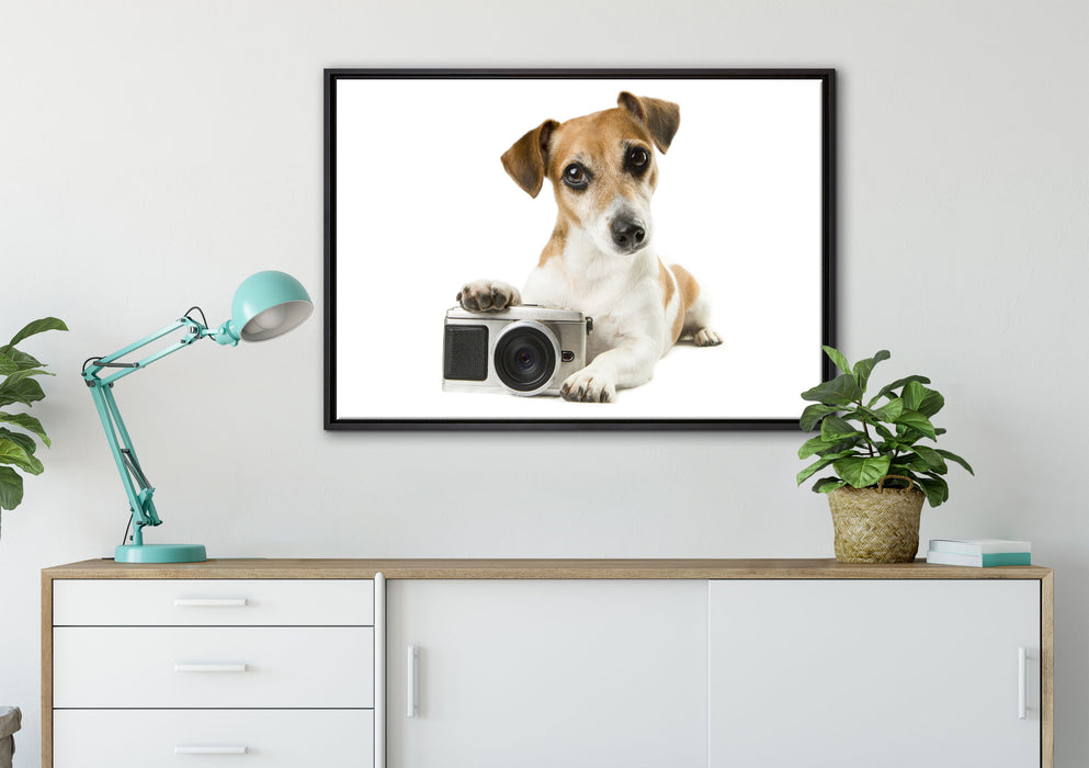 Niedlicher Hundewelpe mit Kamera auf Leinwandbild gerahmt verschiedene Größen im Wohnzimmer