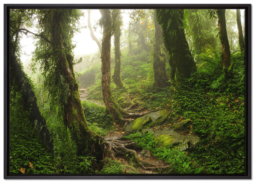 Tropischer La Selva Dschungel auf Leinwandbild gerahmt Größe 100x70