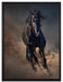 Elegantes schwarzes Pferd auf Leinwandbild gerahmt Größe 80x60