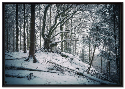 Wald mit Schnee bedeckt auf Leinwandbild gerahmt Größe 100x70