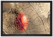 Rote Physalis auf Leinwandbild gerahmt Größe 60x40